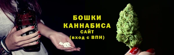 прущие крисы Козловка