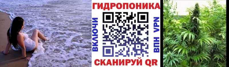 Канабис White Widow  Купить  Учалы 